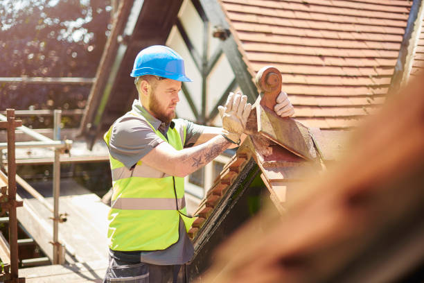 Best Roof Gutter Cleaning  in Highland, IN